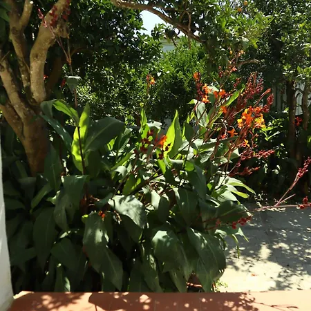 Ginger House - Ciraccio Апартаменты