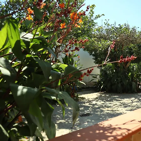 Ginger House - Ciraccio Апартаменты Прочида